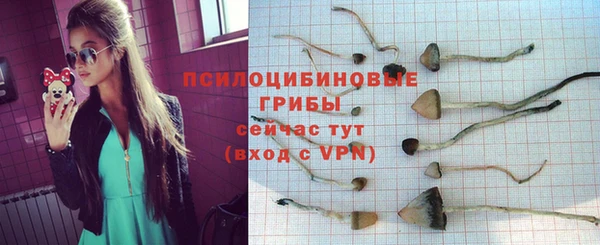 прущий лед Армянск