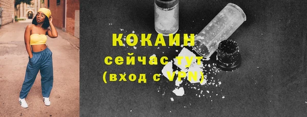 ГАЛЛЮЦИНОГЕННЫЕ ГРИБЫ Арсеньев