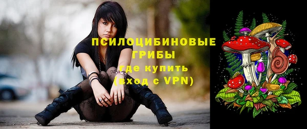 ГАЛЛЮЦИНОГЕННЫЕ ГРИБЫ Арсеньев
