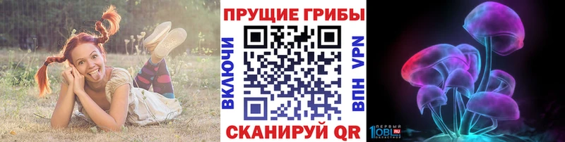 сколько стоит  Арск  Псилоцибиновые грибы Cubensis 